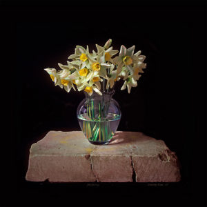 Daffodils in a vase still life